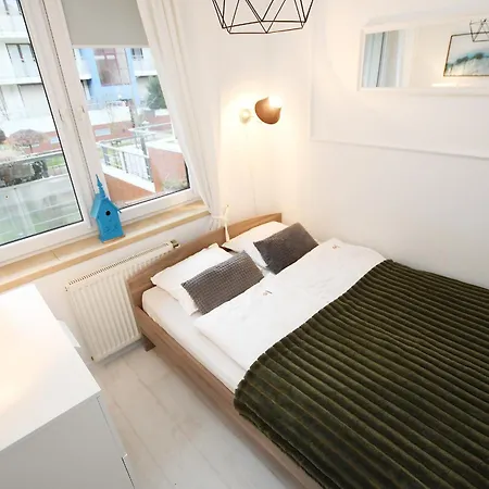 Navigator Zielone Tarasy *